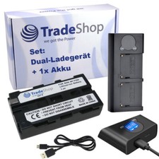 Dual LCD Ladegerät USB-C + Akku für Sony HDR-AX2000 HDR-AX2000 HDRAX2000E