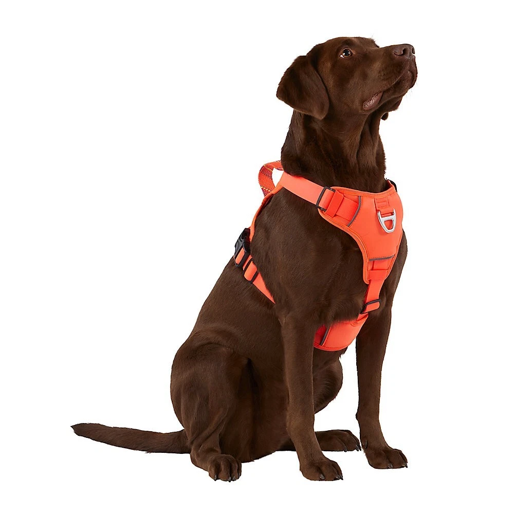 Top paw dog harness 2025