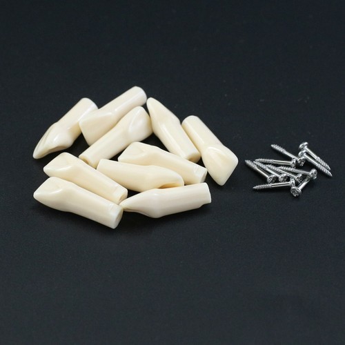 Dientes dentales Kilgore Nissin 200 #11 #21 #16 #26 #36 UR1 UR6 para Typodont M8012 - Imagen 20 de 54