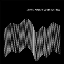 Various - Medium Ambient Collection 2022 Black (2xLP, Comp) (Mint (M))