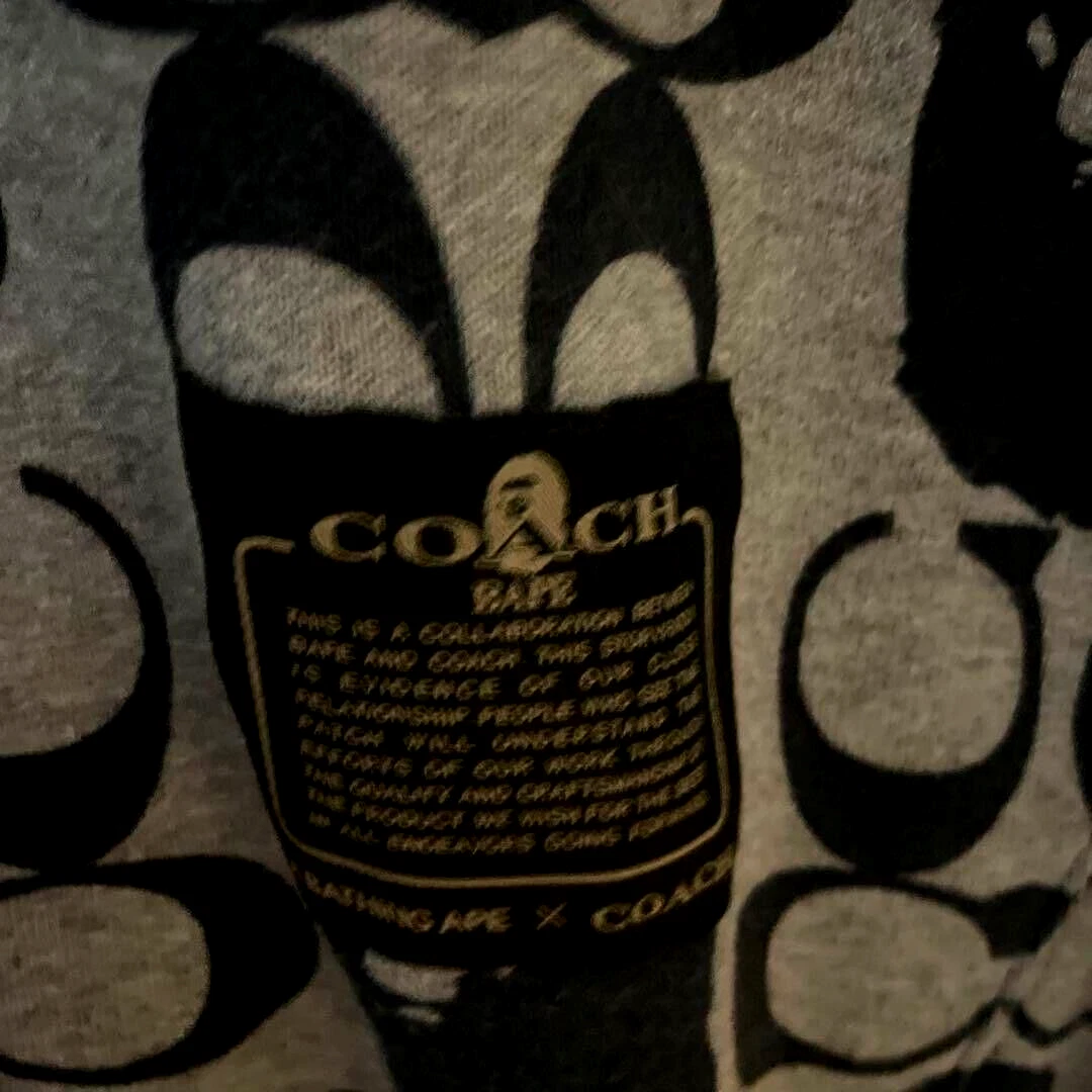 A BATHING APE (BAPE) Felpa con cappuccio Coach x A Bathing Ape Collab in pile taglia L (175 84A) usata ottima Giappone