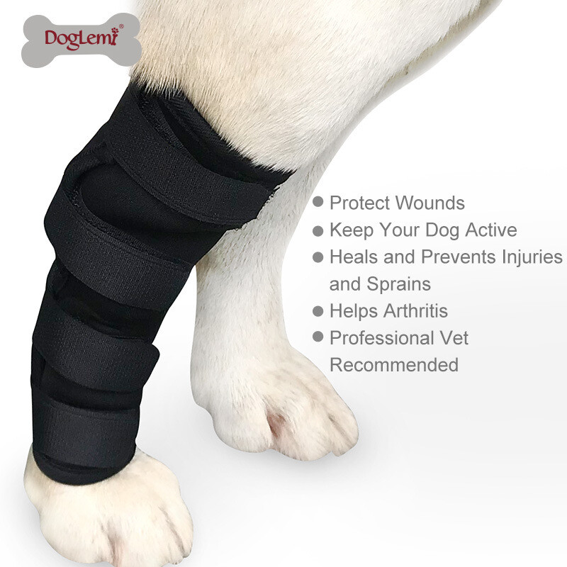 Dog Front Legs Brace Hock Wraps Bandage Help Wounds Compression Joint