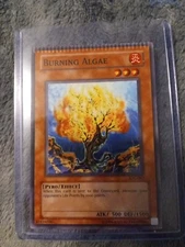 Yu-Gi-Oh Burning Algae IOC-062 Crimped Error