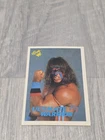 Ultimate Warrior 1990 Classic WWF Wrestling #127 - E328