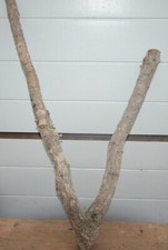 Korkast ,Nager,Chinchillas,Reptilien,Schildkröten,Vogelvolieren# 101