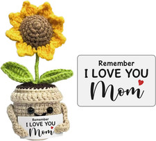 Mini Birthday Gifts for Mom, Mom Gifts from Daughters Remember I Love You MOM, H