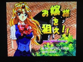 SEGASATURN game softwareAim for the Young Lady*Instruction missing* Sega Saturn