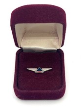 Vintage Sterling Silver Delta Air Lines Employee Service Reward Pin With Enamel