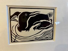 ‘Guillemot’- Framed Woodcut Bird By Raphael Nelson, dated 1940s