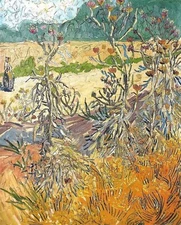 Vincent van Gogh Thistles Arles 8x10 Floral Art Giclee Canvas Print Wall Decor