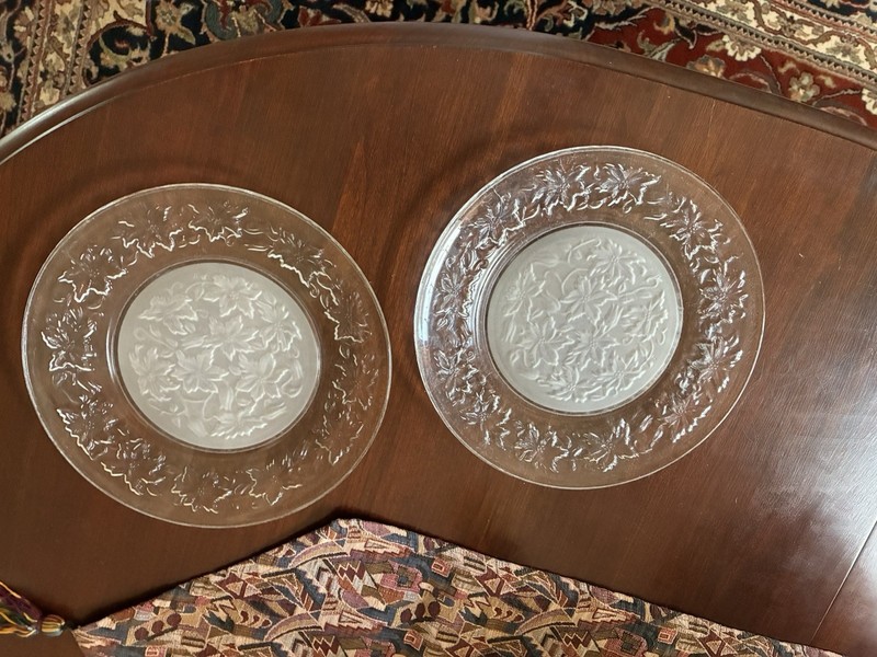 Princess House Fantasia Crystal Dinner Plates  10" Frosted Centers~Set Of 2