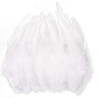 120pcs 5-7'' Natural Feathers for Crafts,Saddle Hackle Feather,Rooster Feathers B