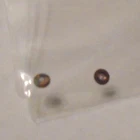 2 WALTHAM 14-12-6-0 SIZE FOOT JEWEL 8252 H-11  ---  BB-540