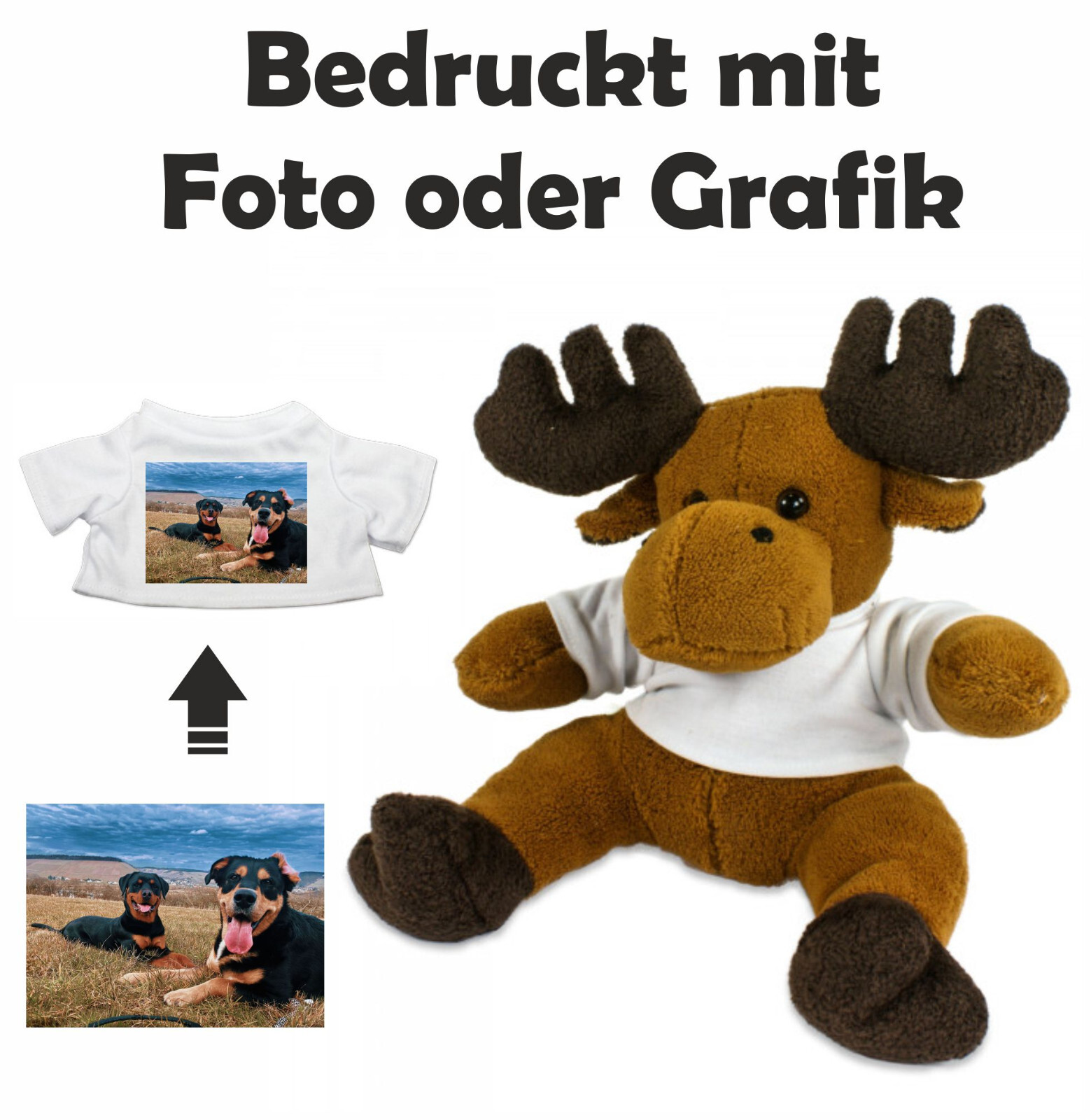 Bild 1 von 3