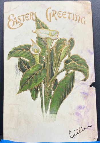 Easter Greeting Lillies Flowers 1910 Antique Postcard