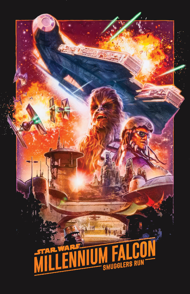 Star Wars Millennium Falcon Smugglers Run Poster 13x19 Satin Print