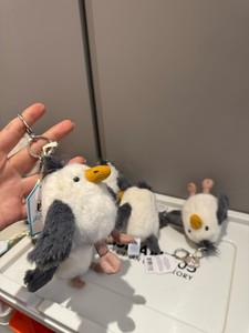 Chip Seagull | eBay