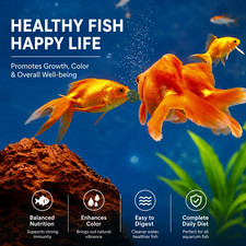 300PCS Spirulina Tablets Fish Shrimp Food Aquarium Algae Feed Supplement Green