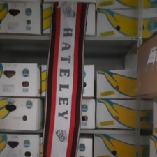 HATELEY IL LEONE DEL MILAN sciarpa ultras Milan Anni 80 vintage  1985