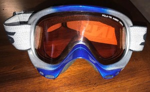 swans ski goggles