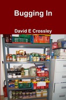 David E Crossley | Bugging In | Taschenbuch | Englisch (2013) | [.]