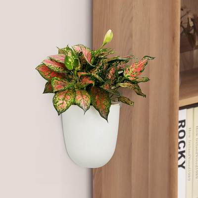 2 Pack Corner Wall Mounted Hanging Planter Self Watering Triangle