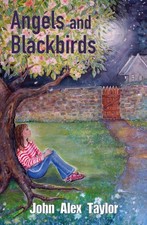 Angels and Blackbirds by John Alex Taylor Paperback Book