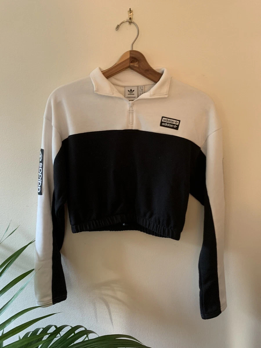 Pacsun top adidas sweatshirt