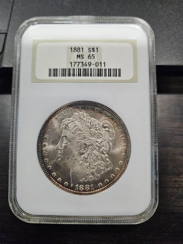 1881-P Morgan 90% Silver Dollar ($1) NGC MS65 Toned
