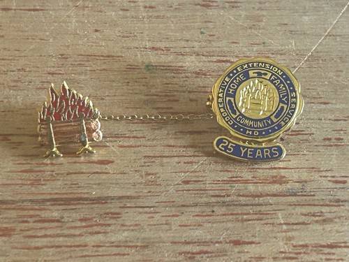 Cooperative Extension Service Anstecknadel 25 Jahre Member Service Award Pullover Pin - Bild 9 von 18