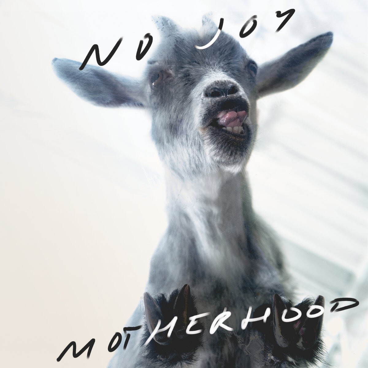 No Joy : Motherhood  (2020)  (CD) Brand New Sealed
