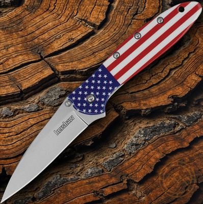 Kershaw Leek Assisted 2nd Folding Knife 3'' 14C28N Steel Blade Stainless Handle