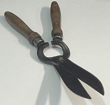 Cisaille Taille Haies Branches outil Jardin Jardinage Sécateur.