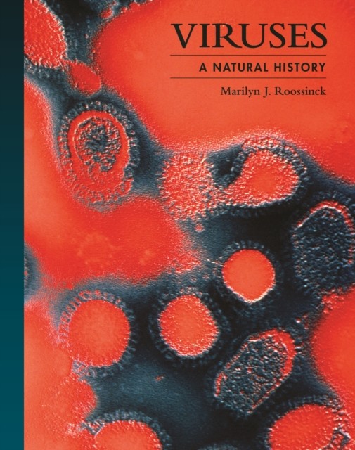 Viruses A Natural History by Dr. Marilyn J.  Roossinck (Hardback Book)