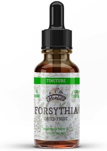 Forsythia Tincture Organic Forsythia Extract Lian Qiao Forsythia Suspensa Ebay