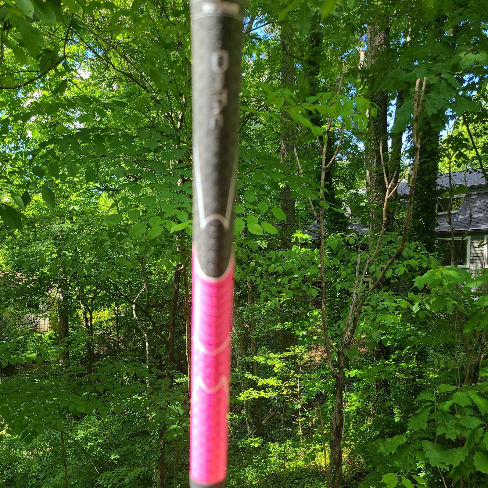 Picture 5 of 7