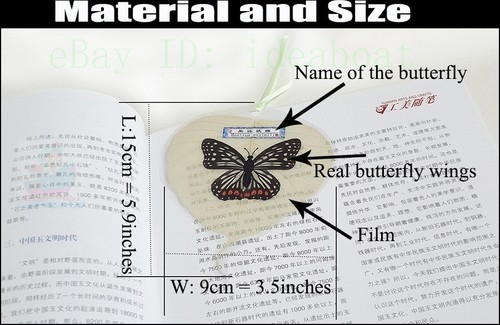 6/12/24/48PCS Real Butterfly Wings & Plant Specimen Leaf Shaped Film Bookmarks - Picture 7 of 7