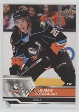 2019-20 Upper Deck AHL Andrew Poturalski #76 06x7