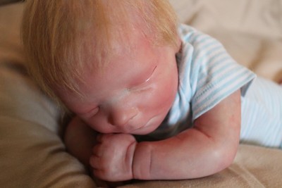 darren reborn doll