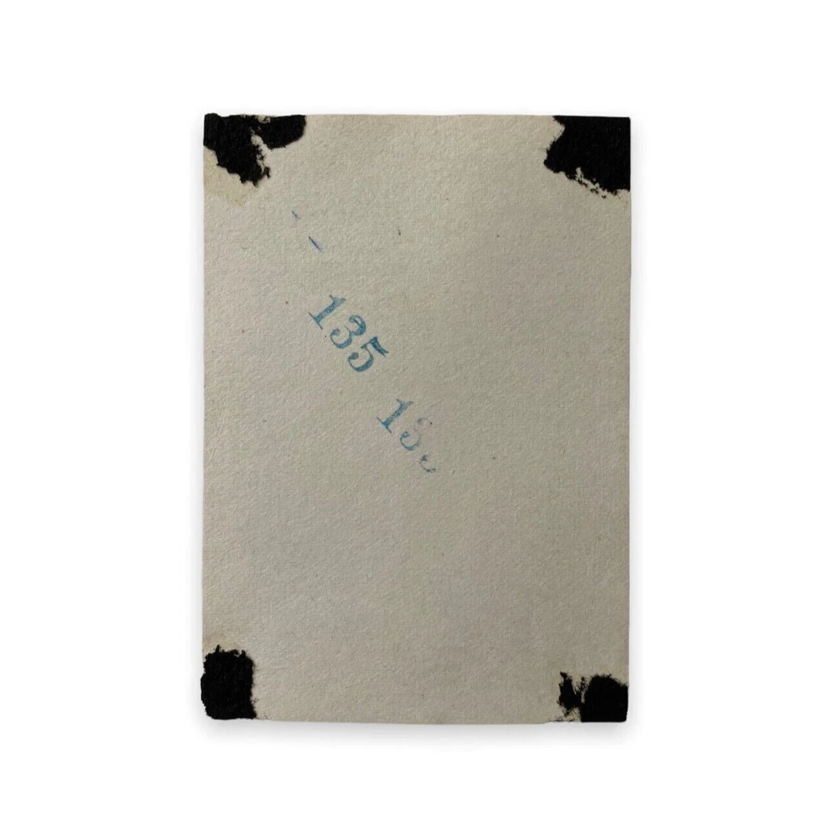 Funny Pictures Stinky Fish