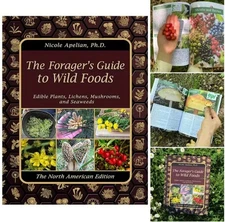 The Foragger's Guide To Wild Foods Healing book solution home healing