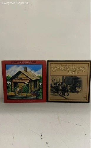 Lot of Grateful Dead Vinyl Music Records