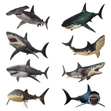 8 Pieces of Shark Wall Stickers for Marine Animals, Easy to Peel and Post,
