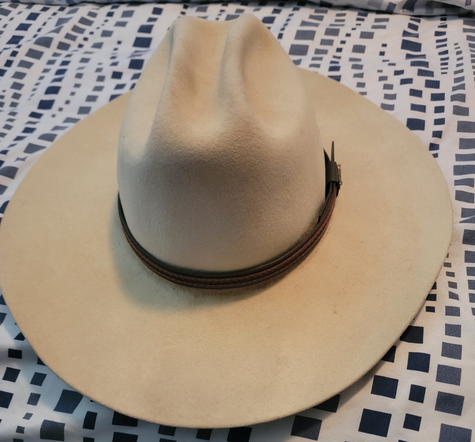 Cowboy Hat - image 1