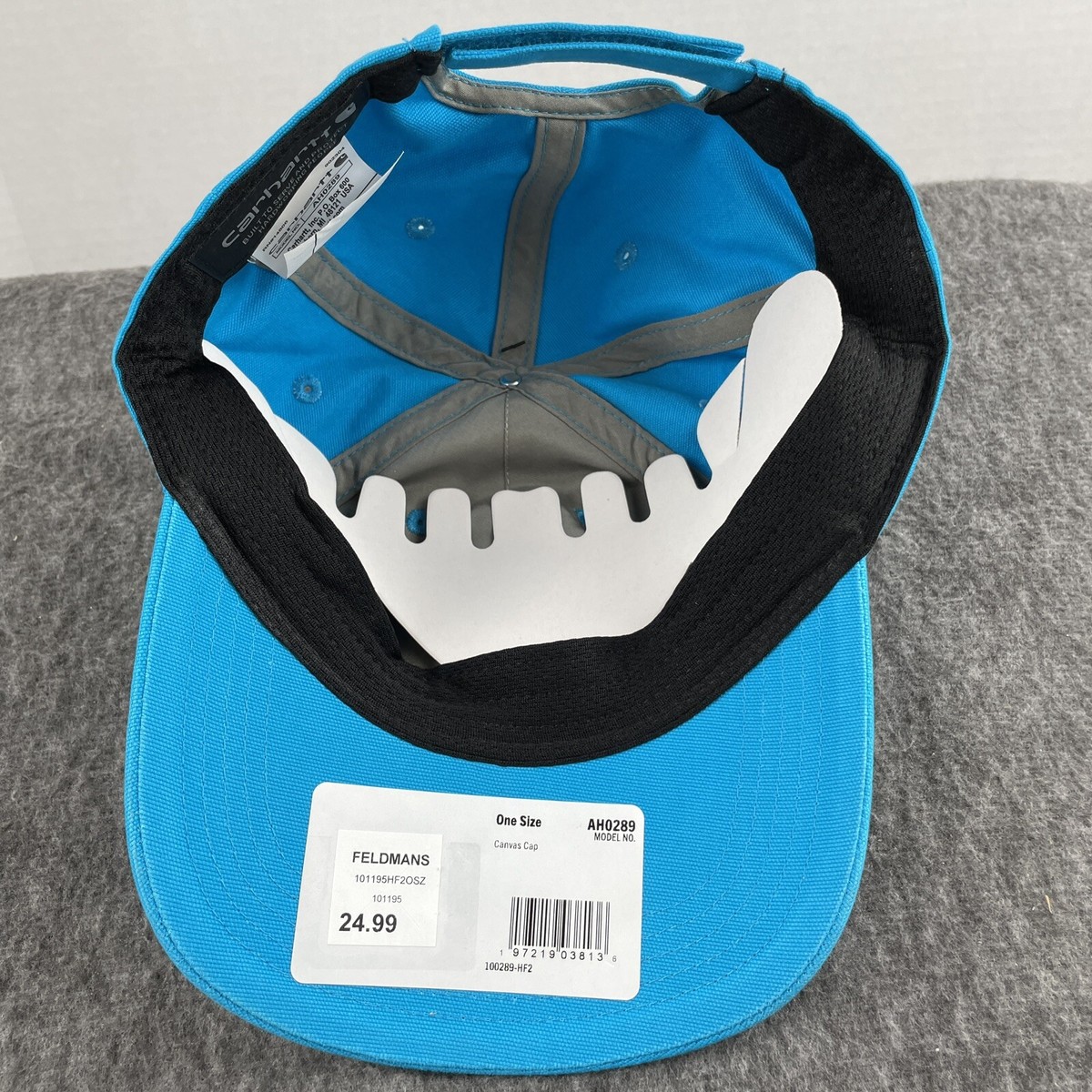 CARHARTT Odessa Force Atomic Blue Strap Back Adjustable Cap AH0289