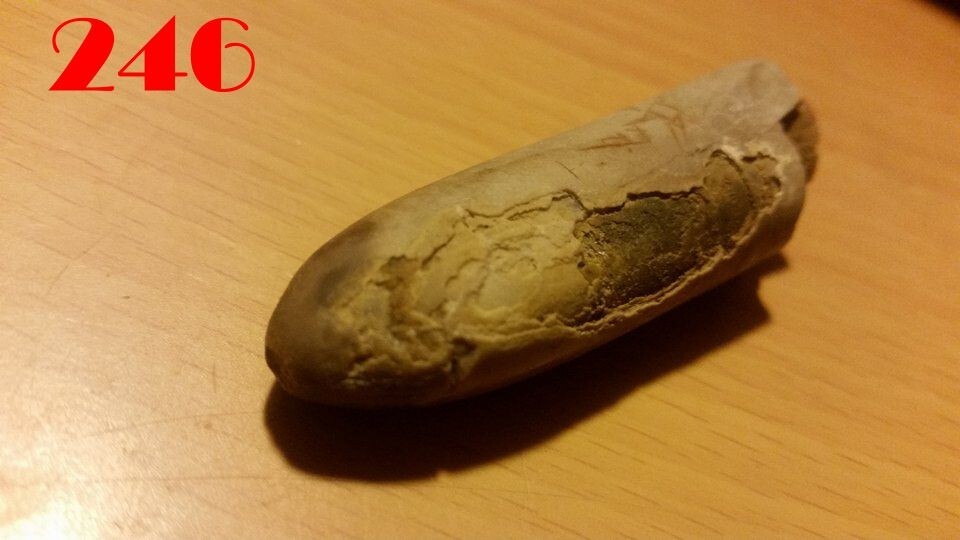 Bild 12 von 24
