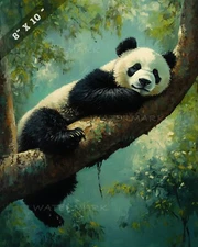 Realistic Panda Sleeping on Tree Limb 8x10 Matte Print