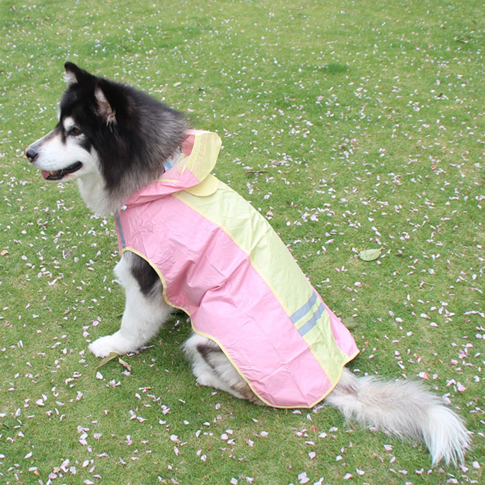 Whippet raincoat shop