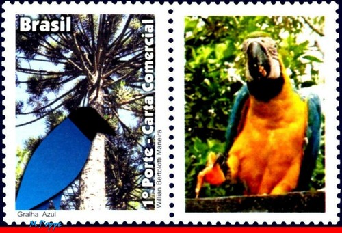 3203-04 BRAZIL 2011 BLUE JACKDAW, DAWN PARANA, BIRDS, PARROT, RHM C-3155-56, MNH - Picture 2 of 5