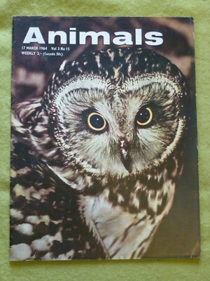 ANIMALS / 1964 MAR 24 / DISCOVERY OF THE OKAPI